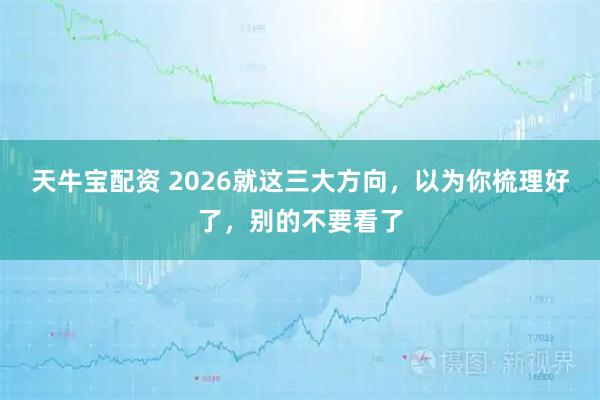 天牛宝配资 2026就这三大方向，以为你梳理好了，别的不要看了