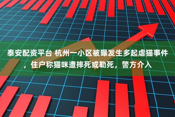 泰安配资平台 杭州一小区被曝发生多起虐猫事件，住户称猫咪遭摔死或勒死，警方介入